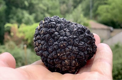 image00014_quer klein