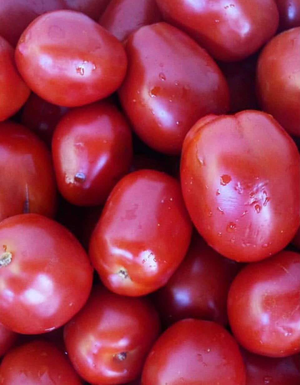 Ein Garten voller Aromen, eingefangen im Glas – unser in Olivenöl eingelegtes Gemüse. bringt intensiven Geschmack und Vielfalt auf den Teller.